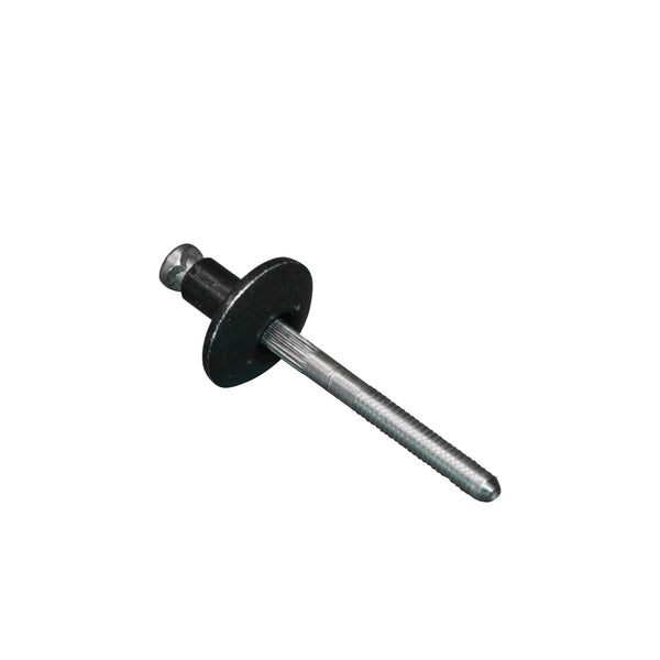 Clip OEM Suits Ford Ranger PX 2011 to 2018