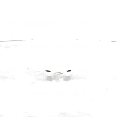 Rear Bar Bracket Passenger Side Genuine Suits Toyota Kluger GSU40R/GSU45R 2007 to 2013