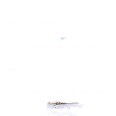 Genuine Radiator Overflow Bottle suits Mitsubishi Pajero NX 2014 to 2019