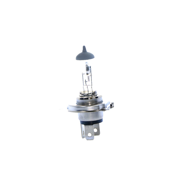 Halogen Bulb H4, 12V, 60/55W (P43T)
