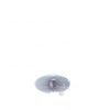 Guard Repeater Passenger Side OEM suits Suzuki Swift
