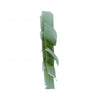 Radiator Fan Blade OEM suits Nissan