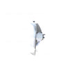 Front Park / Indicator Lamp Passenger Side Certified Suits Volvo S70 / V70 / C70 MK1 1997 to 2004