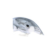 Front Park / Indicator Lamp Drivers Side Certified Suits Volvo S40 / V40 S40/V40 1997 to 2004