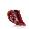 Kia Picanto OEM Tail Lamp Drivers Side 07/2020 to 10/2023 - 92402G6400